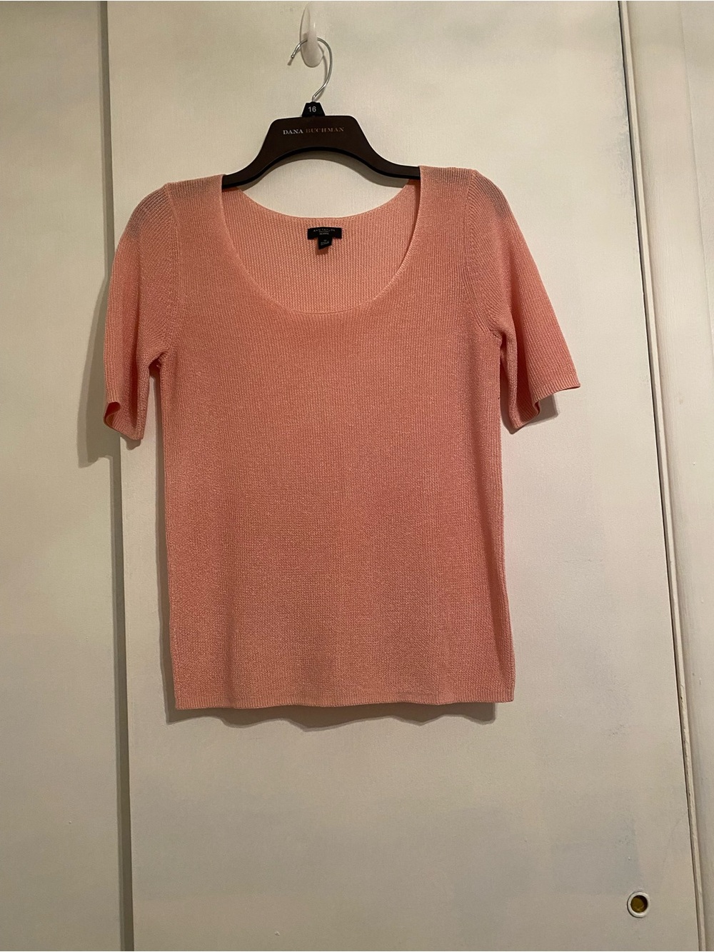 Ann Taylor Pink Knit Scoop Neck Top Short Sleeve Lite Weight, Small Petite